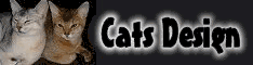 Cat's Design